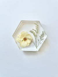 Hexagon Coaster Mold